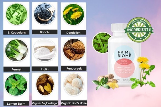 Prime Biome Ingredients